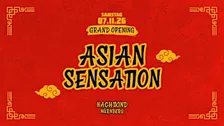 NÜRNBERG - Asian Sensation Party - 07. NOVEMBER 2026