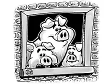 The 3 Pigs