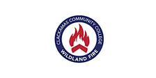 FI-110 Basic Wildland Fire Investigation