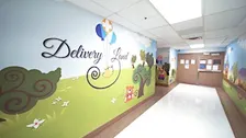 Delivery Land Hospital Tour