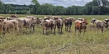 Regenerate Outcomes, Anglian Water & AHDB - Building Resilient Farms