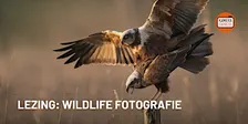 Lezing: Wildlife fotografie door Ludo Goossens