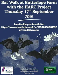 Bat Walk