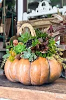 Pumpkin Perfection: A Succulent Workshop