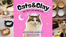 Cats&Clay - clay workshop in cat gallery with resident cat