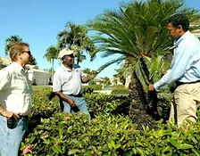 Florida-Friendly Landscaping Certified Professional (FFLCP) Training