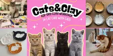 Cats&Clay - clay workshop in cat cafe with cats - Tilburg