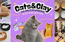 Cats&Clay - clay workshop in cat cafe with cats - Nijmegen