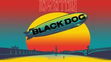 Black Dog (The Led Zeppelin Tribute)