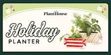 Holiday Planter Workshop