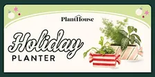 Holiday Planter Workshop