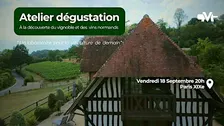 Le vignoble et les  vins normands