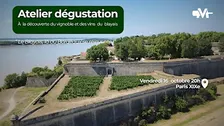 Le vignoble et des vins  du  blayais