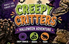 Creepy Critter Adventure