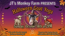 Halloween Goat Yoga at The Monkey Farm