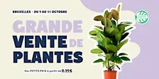 Grande Vente de Plantes - Bruxelles