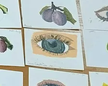 Wo 14 okt | Schilderen met Acryl | 5 lessen | 8+