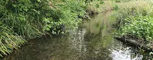 FREE Vegetation Clearance Day - Edenbrook Country Park - River Hart