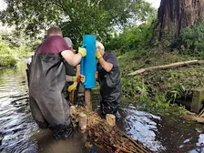FREE River Restoration Volunteering – Emm Brook