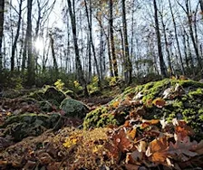 Hopkinton Resilient Land Initiative:  Community Design Workshop