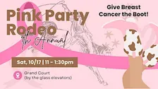 9th Annual Pink Party Zumba Registration