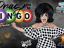 Halloween Drag  Bingo