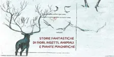 Fili d'erba… Intrecci di storie – Letture per bambini a Taneto di Gattatico