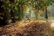 Autumn Equinox Yoga Retreat Afternoon