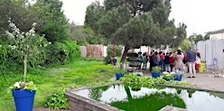 Visite contée : Lise et Pierre à l'Orangerie