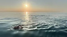 Swimming the Channel: A Personal Journey