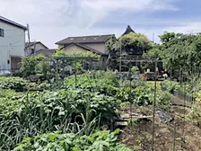 DWIH Tokyo Symposium: Human-Nature Relationships in the Anthropocene