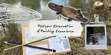 Platypus Observation & Painting Experience