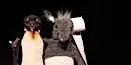 Gordon und Tapir