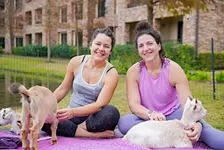 Goat Yoga at The Woodlands Resort