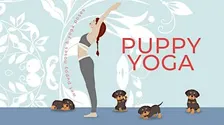 Puppy Yoga With The Crawford County Humane Society