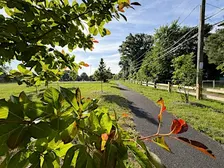 Healthy Soil, Healthy Trees