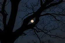Full Moon Hike