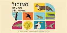 Ticino. Il racconto della terra.
