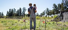 The Little Farmer Adventure