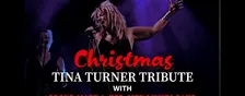 Tina Turner Tribute Christmas Party Night
