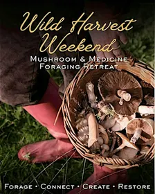 Wild Harvest Weekend: Mushroom & Medicine Foraging Retreat