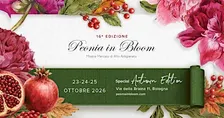 Peonia in Bloom - Special Autumn Edition