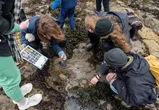 Rockpool Rangers with Falmouth Marine Conservation Society