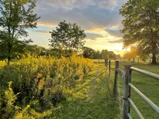 Rebuilding Ecosystems with Regenerative Agriculture