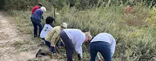 Fall Volunteer Invasive Removal Event with Lunch and Tour