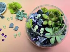 Halloween Terrariums – Spooky Succulent Workshop