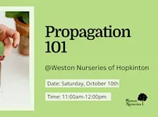 Propagation 101