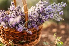 Fall Flower Baskets (and BINGO!)