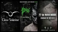 Doyle | Ciudad de México