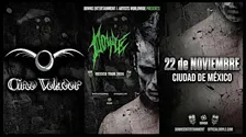 Doyle | Ciudad de México